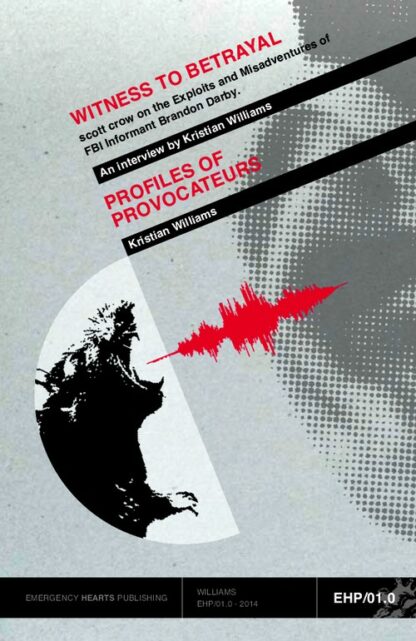 Witness to betrayal: Profiles of provocateurs