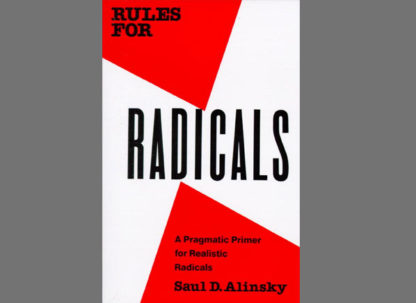 Rules for radicals - A pragmatic primer for realistic radicals