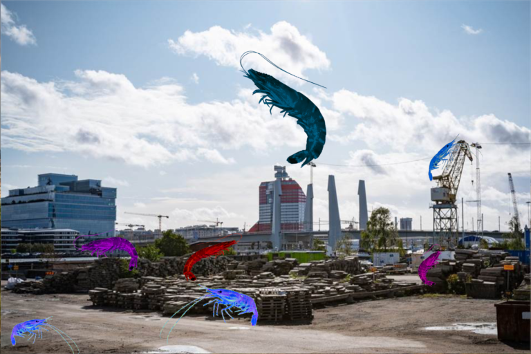 Driv med Svarta Räkan (Lördag 14-15.30)